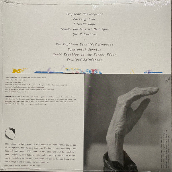 Pauline Anna Strom : Angel Tears In Sunlight (LP, Album, Ltd, Red)