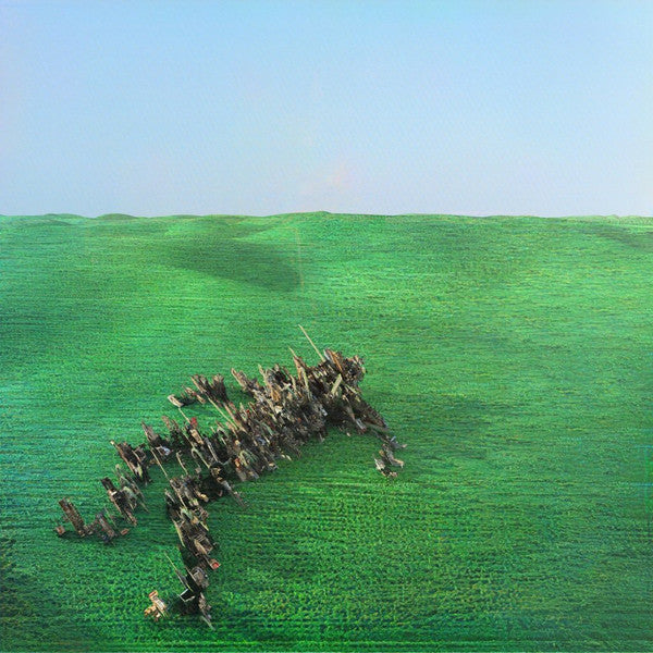 Squid (29) : Bright Green Field (2xLP, Album)