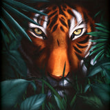 A Vision of Panorama : Unique Tiger (LP)