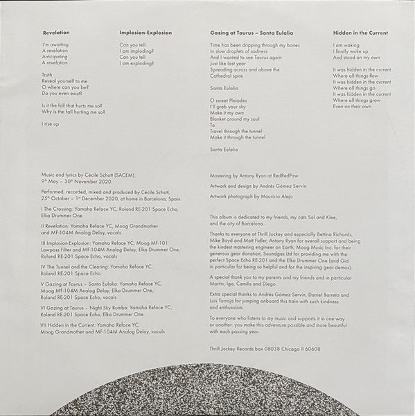 Colleen : The Tunnel And The Clearing (LP, Album, Ltd, Gol)