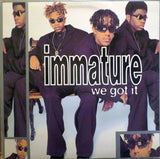 Immature : We Got It (LP, Album)