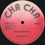 Barrington Levy / General Saint : Warm And Sunny Day  / Warm And Sunny Day Version (12")