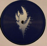 Conceptual : Photon Phreaquency (12")