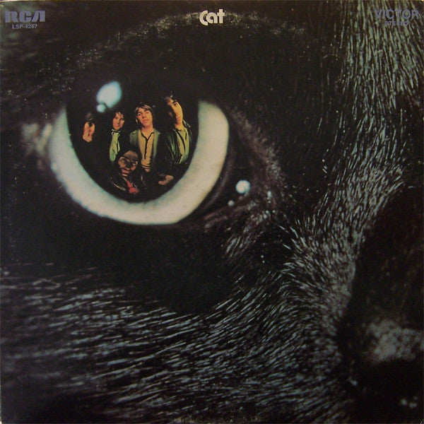 Cat (13) : Cat (LP, Album)
