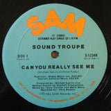 Sound Troupe : Can You Really See Me (12", Single)