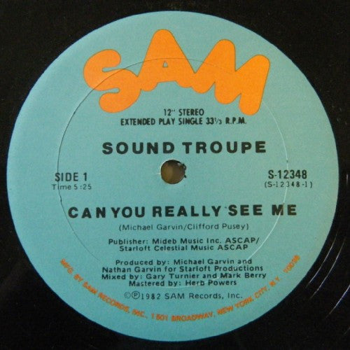 Sound Troupe : Can You Really See Me (12", Single)