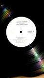 Luther Vandross : Dance With My Father (Album Sampler) (12", Smplr)