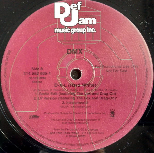 DMX : Party Up (Up In Here) (12", Promo)