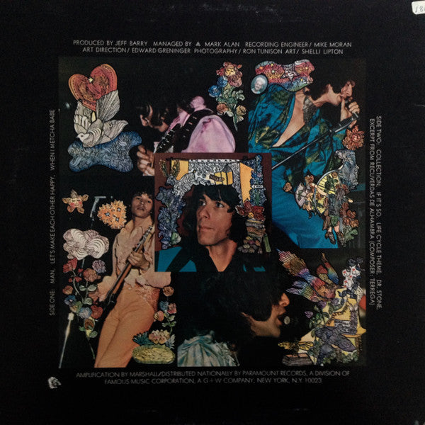 The Illusion : If It's So (LP, Album, Ind)