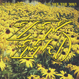 Let Your Hair Down : Waiting Room (LP, Album)