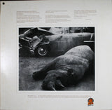 Ben Sidran : I Lead A Life (LP, Album)