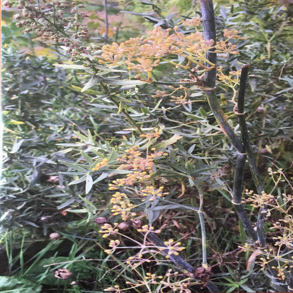 Tirzah : Colourgrade (LP, Album, Glo + CD + Ltd)