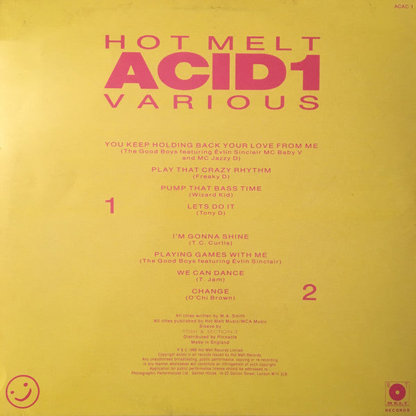 Various : Hot Melt Acid 1 (LP, Comp)