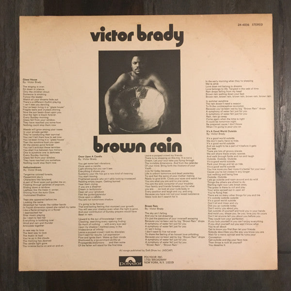 Victor Brady : Brown Rain (LP, Album, Mon)