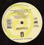Akinyele : Ak Ha Ha! Ak Hoo Hoo? (12")