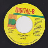 Sizzla : Why Should I (7", Single)