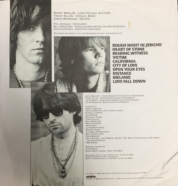 Dreams So Real : Rough Night In Jericho (LP, Album)