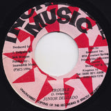 Junior Delgado : Trouble (7")