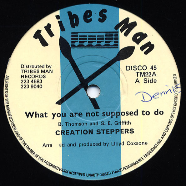The Creation Steppers : What You Are Not Supposed To Do (12")