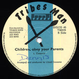 The Creation Steppers : What You Are Not Supposed To Do (12")