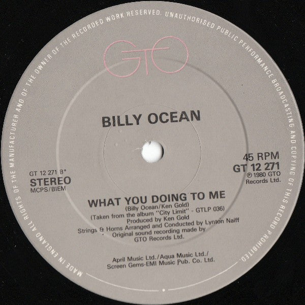 Billy Ocean : Stay The Night (Special Disco Version) (12")