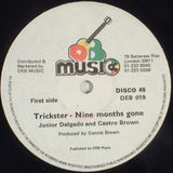 Junior Delgado & Castro Brown / Carlton And The Shoes : Trickster - Nine Months Gone / Better Days (12", Single)