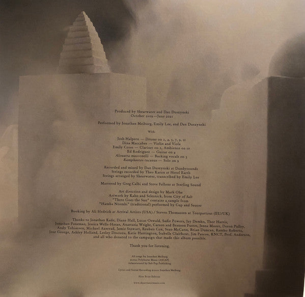 Shearwater : The Great Awakening (2xLP, Album, Ltd)