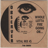 The Heptones : Through The Fire I Come (7", RE)