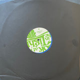 Kate Bollinger : Look At It In The Light (12", EP, Blu)