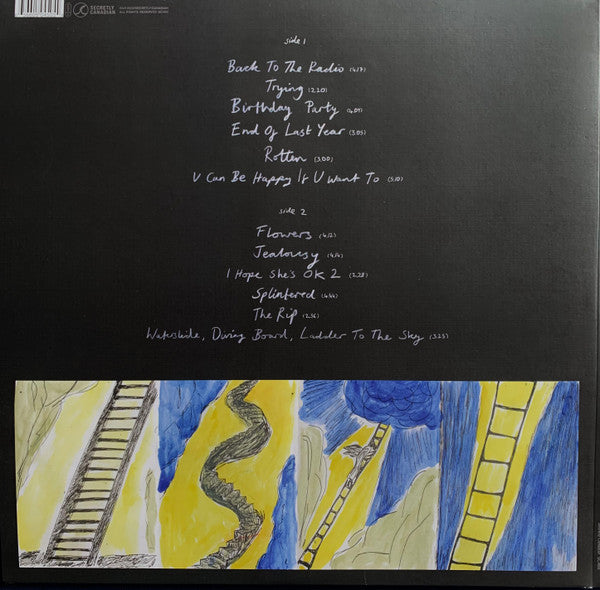 Porridge Radio : Waterslide, Diving Board, Ladder To The Sky (LP, Album, Ltd, Pin)