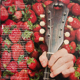Strawbs : The Best Of Strawbs (2xLP, Comp)