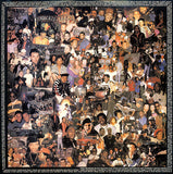 Ice-T : The Iceberg (Freedom Of Speech... Just Watch What You Say) (LP, Album)