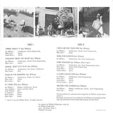 Ian Willson : Straight From The Heart (LP, Album)