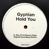 Gyptian : Hold You (12", TP)