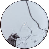 Cucina Povera : Tuhka  (LP, S/Sided, Album, Ltd)