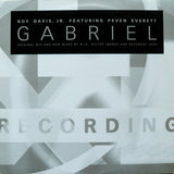 Roy Davis Jr. Featuring Peven Everett : Gabriel (12")
