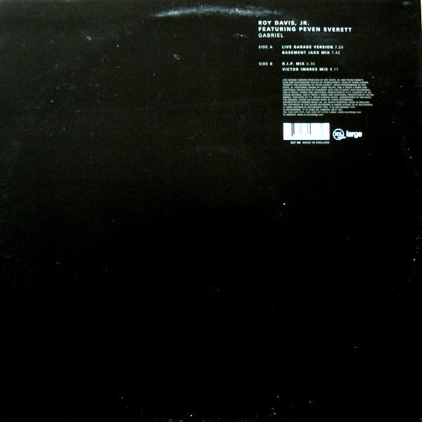Roy Davis Jr. Featuring Peven Everett : Gabriel (12")