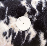 Blawan : Dismantled Into Juice (12")