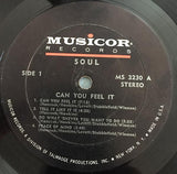 SOUL* : Can You Feel It (LP, Album)