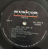 SOUL* : Can You Feel It (LP, Album)