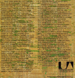 American Spring* : American Spring (LP, Album)