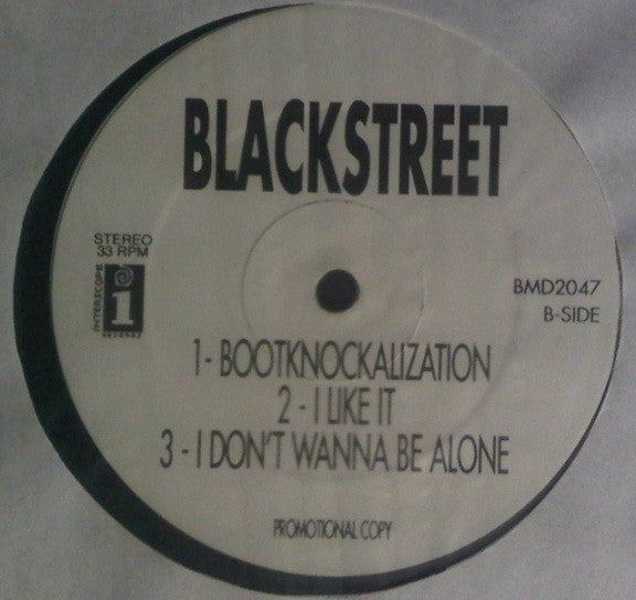 The Lady Of Rage / Blackstreet : Afro Puffs / Bootknockalization / I Like It / I Don't Wanna Be Alone (12", Promo)