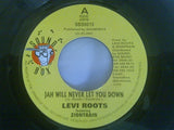Levi Roots and Zion Train : Jah Will Never Let You Down (7")