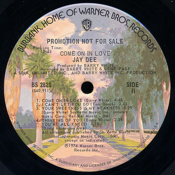 Jay Dee (3) : Come On In Love (LP, Album, Promo)