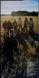Lighthouse (2) : Sunny Days (LP, Album)
