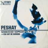 Peshay Featuring Co-Ordinate : You Got Me Burning / Fuzion (12")