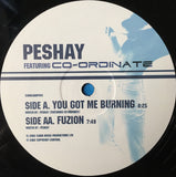 Peshay Featuring Co-Ordinate : You Got Me Burning / Fuzion (12")