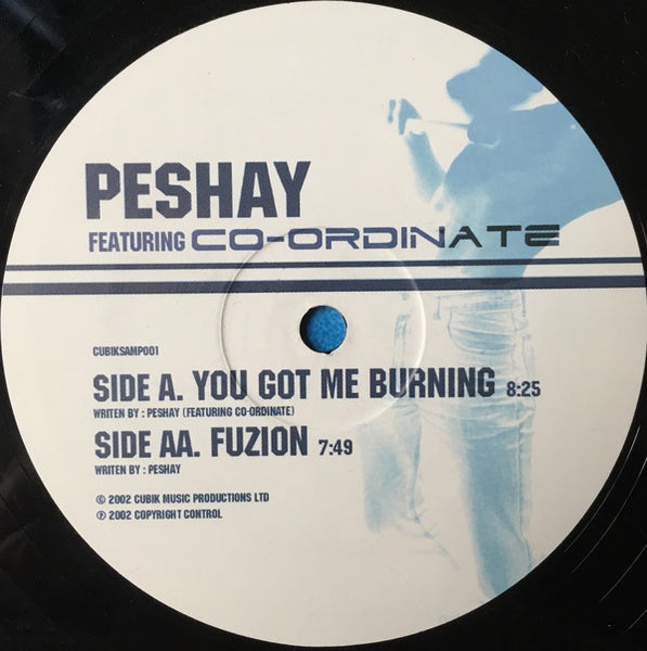 Peshay Featuring Co-Ordinate : You Got Me Burning / Fuzion (12")