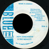 Echo Minott : New Dimension (7")