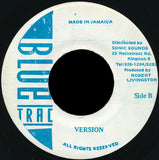Echo Minott : New Dimension (7")